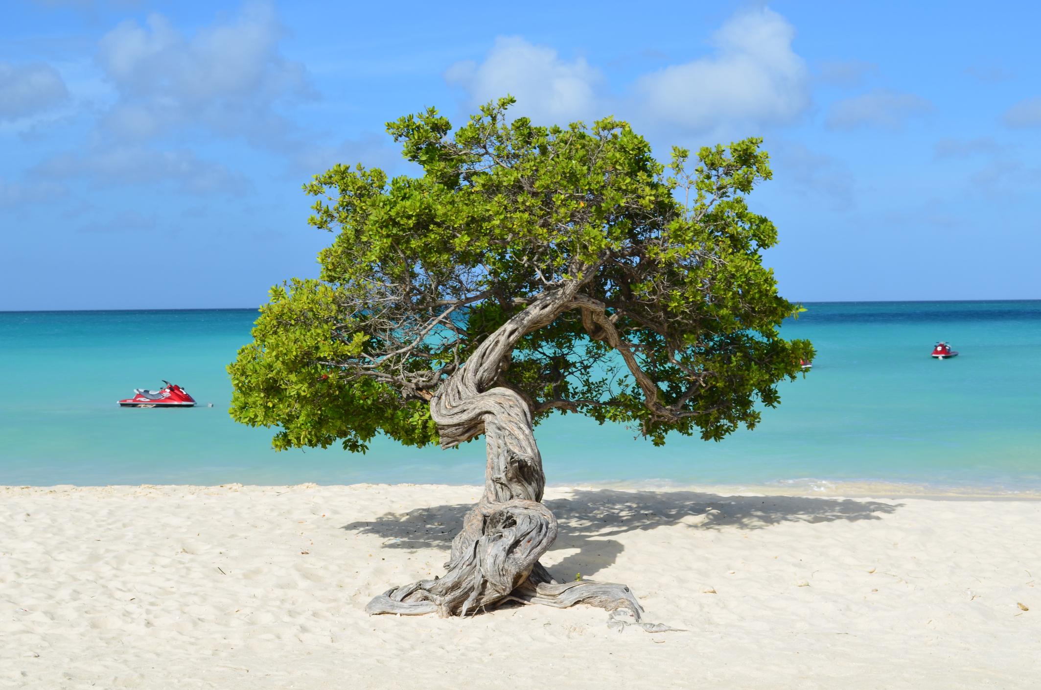 Mnichov – Aruba