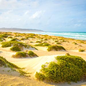 Boa Vista