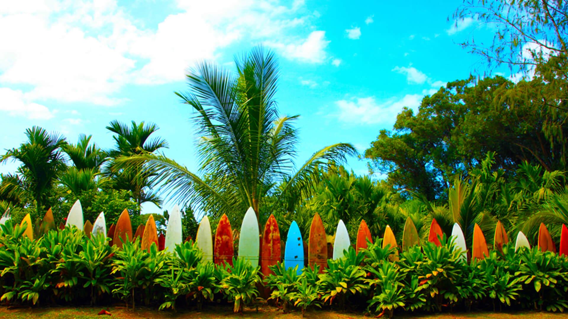 Mnichov – Honolulu