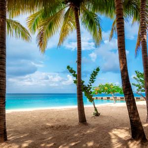 Montego Bay
