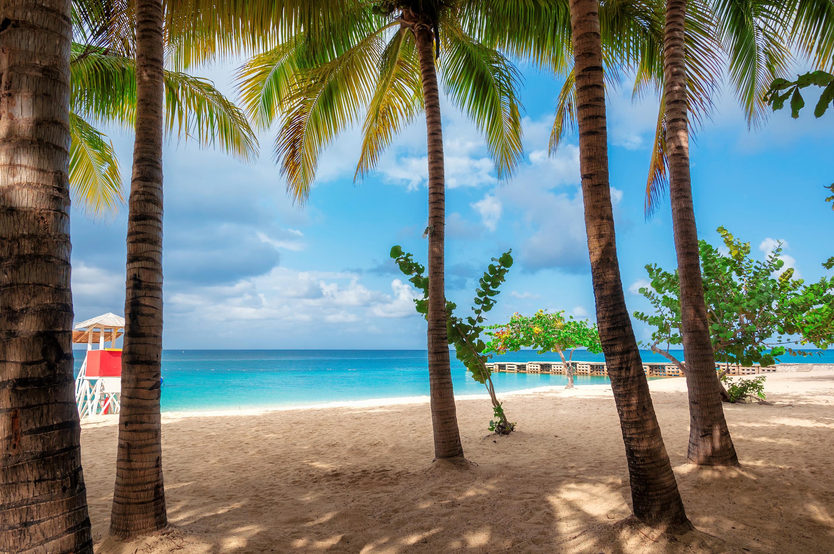 Praha – Montego Bay