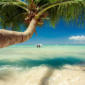 Punta Cana