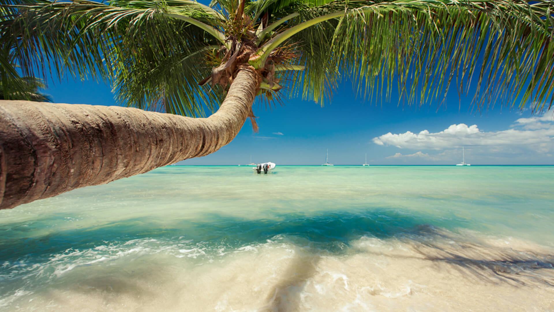Vídeň – Punta Cana