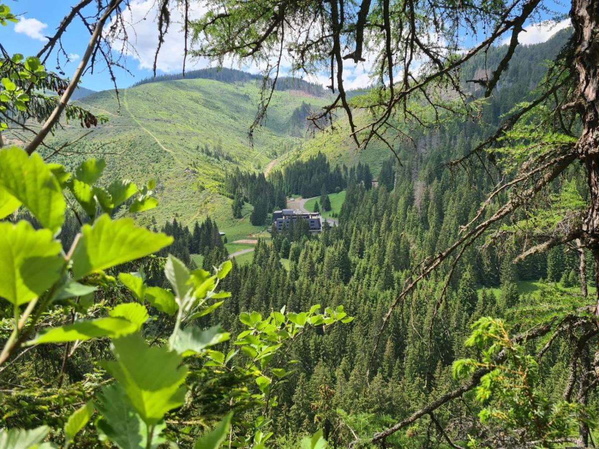 lacna dovolenka Slovensko
