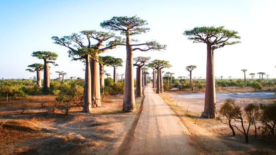 Zľava na pobyt Madagaskar- Baobaby, lemury a pláže Indického oceánu