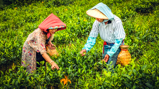 Zľava na pobyt Taiwan – Ostrov kontrastov  a čajových vôní